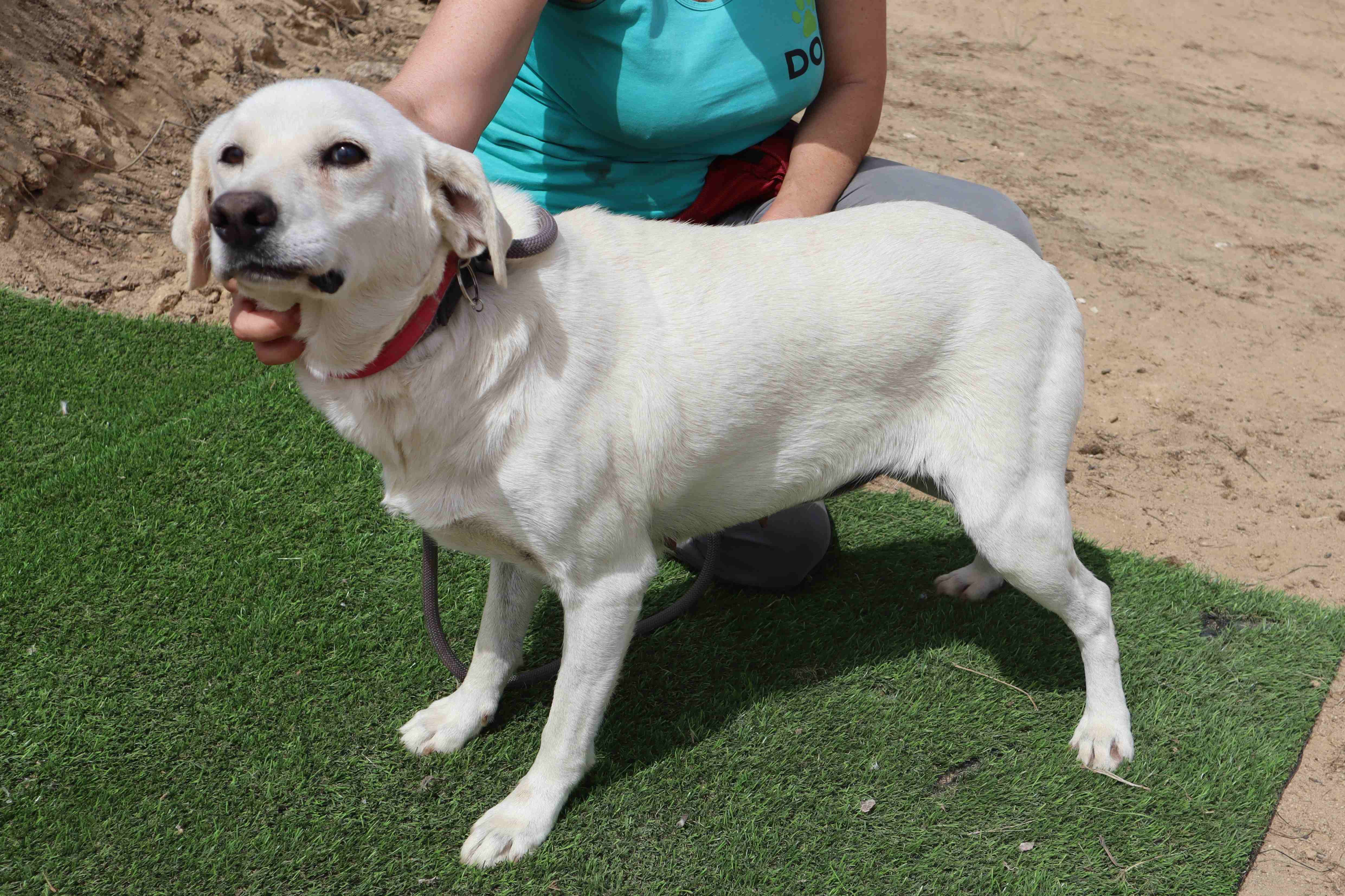 BLANCHE 12166