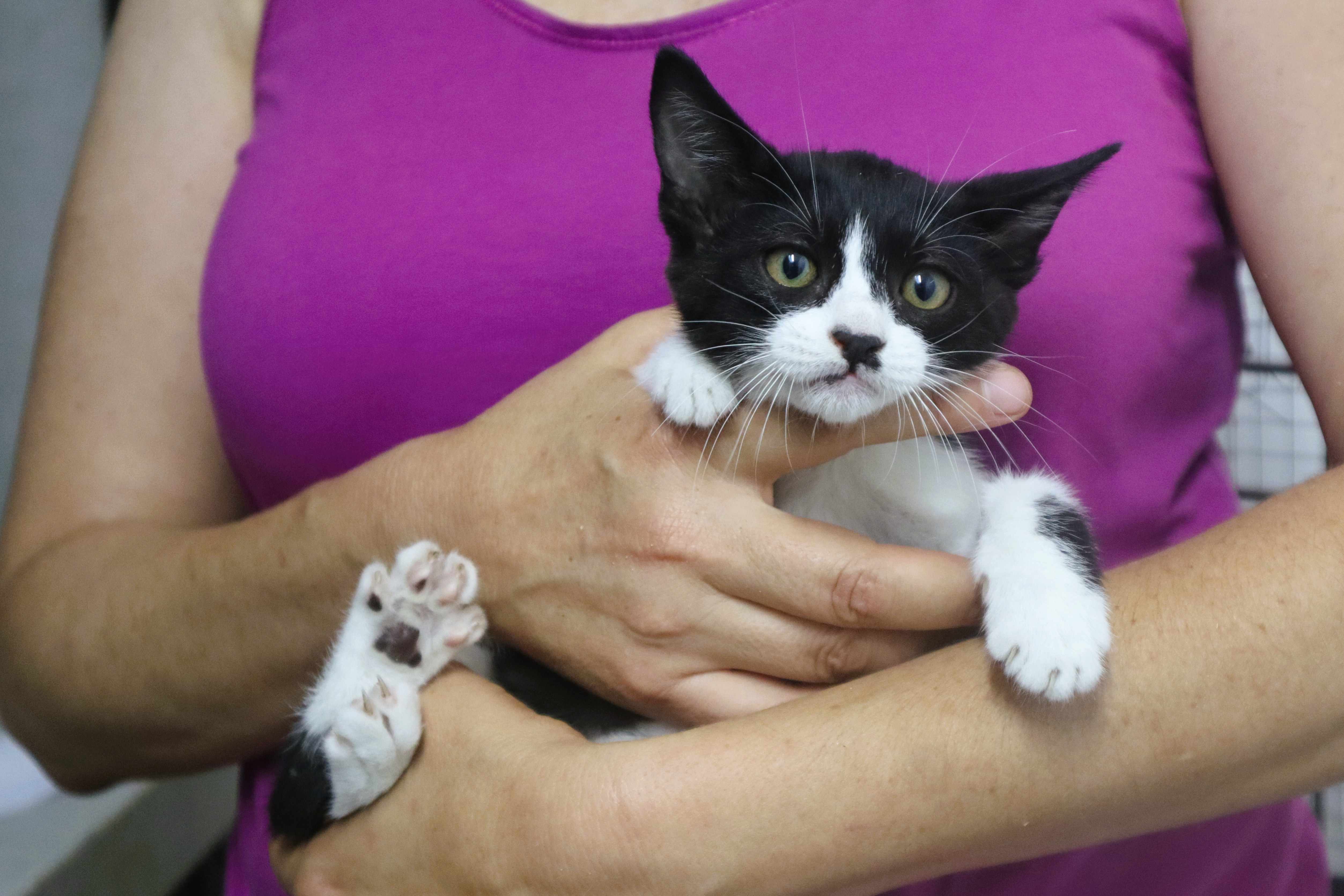 JIMMY