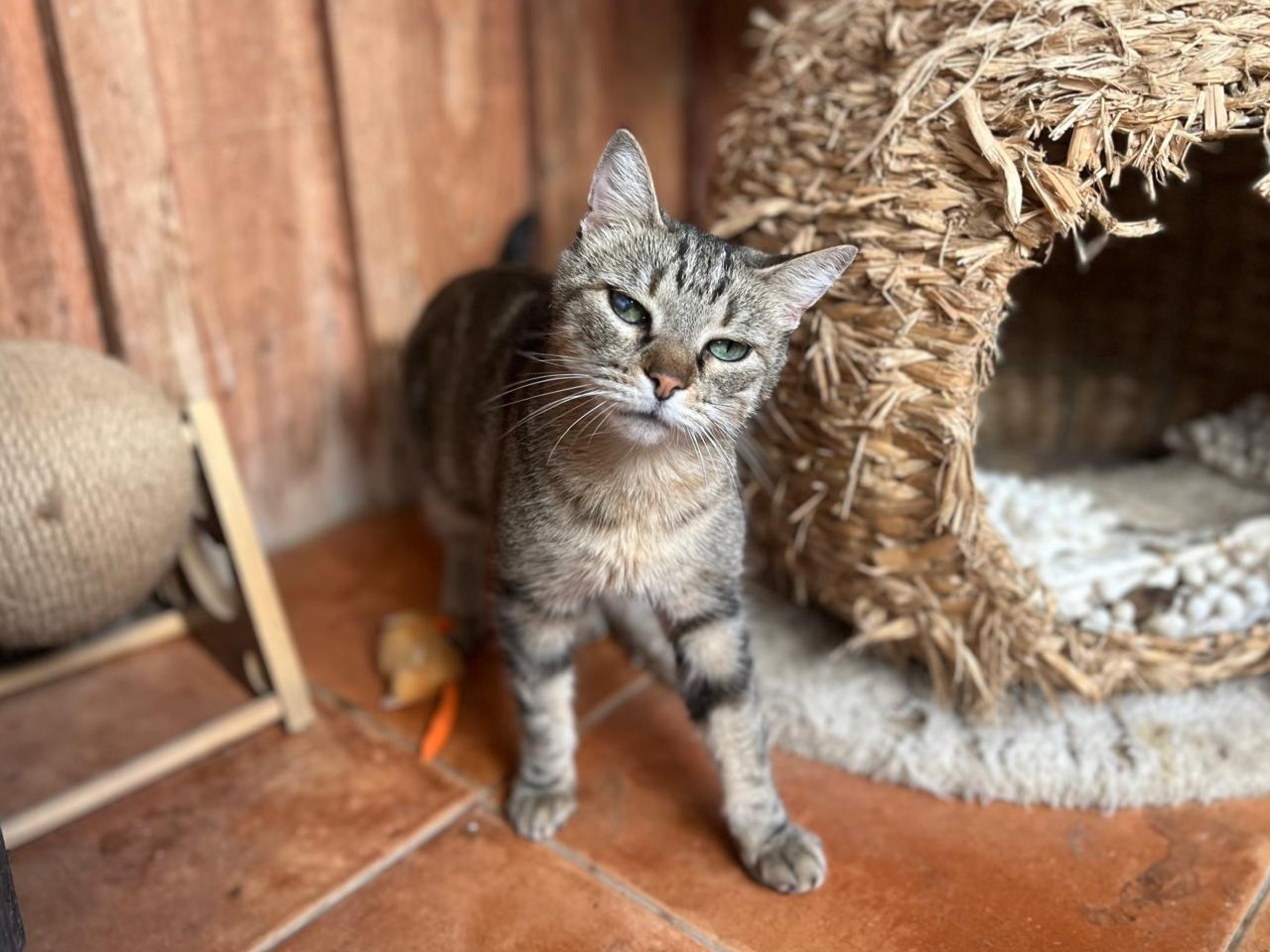 CHLOE