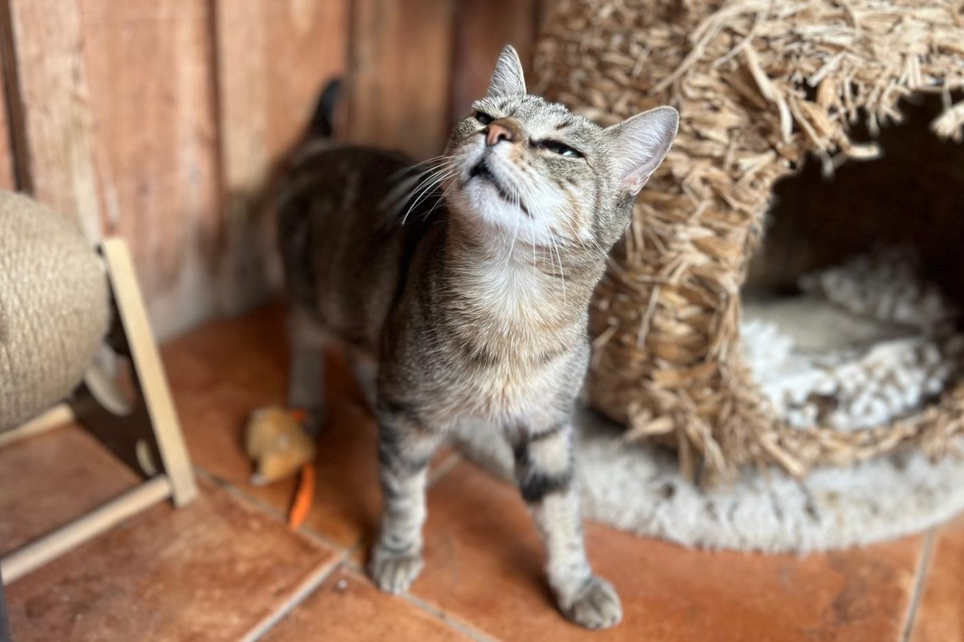 CHLOE