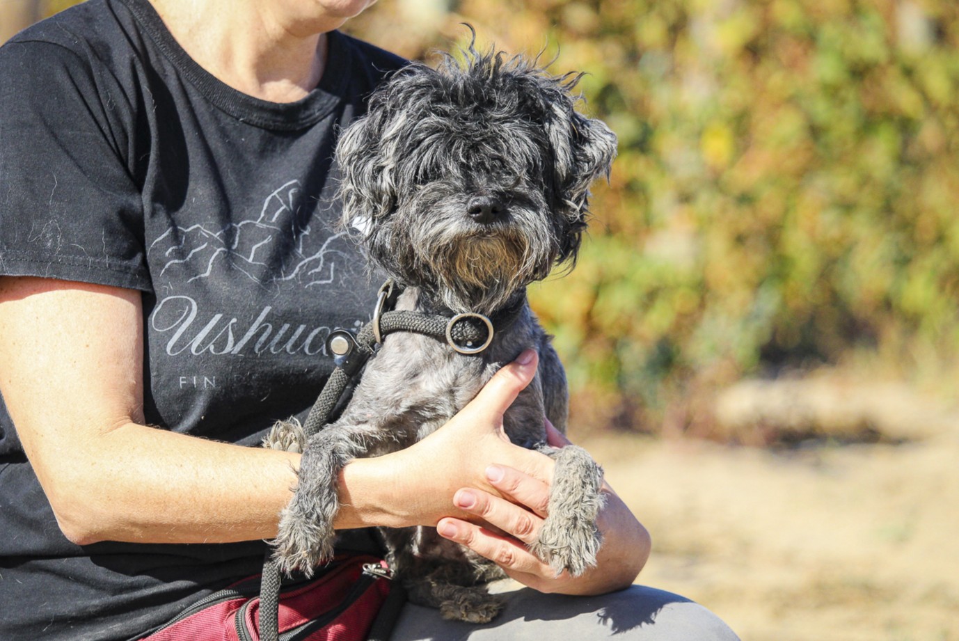 TRUFFLE