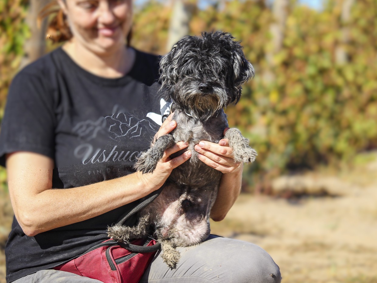 TRUFFLE