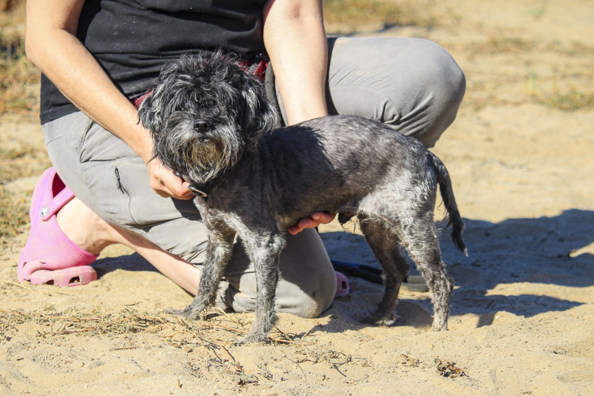 TRUFFLE