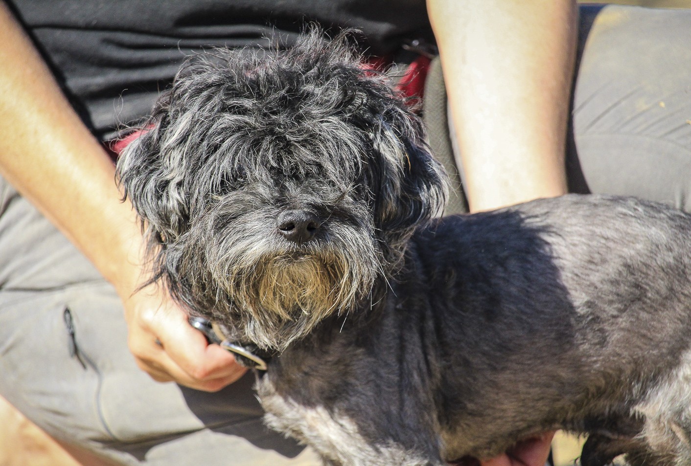 TRUFFLE