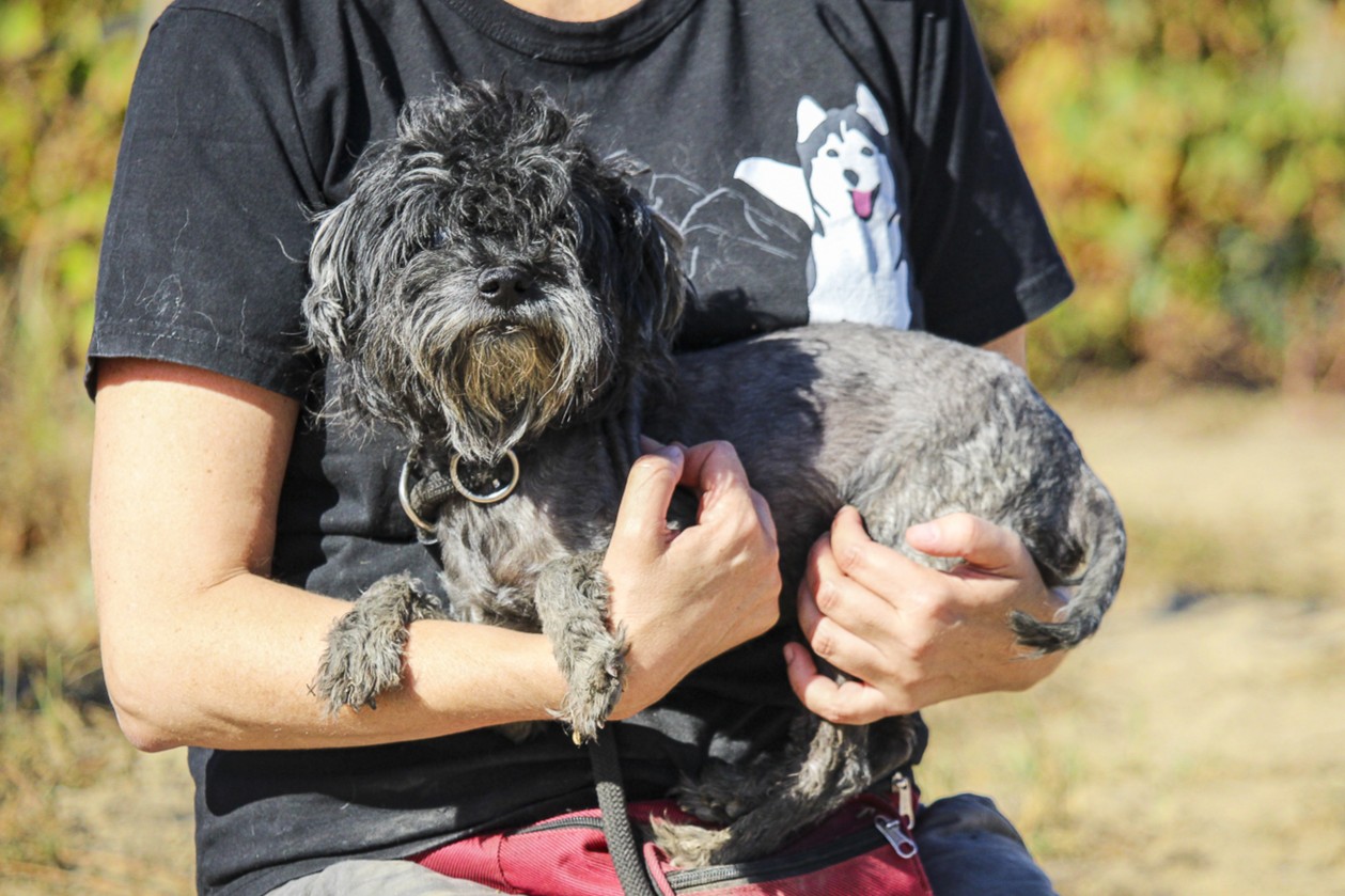 TRUFFLE