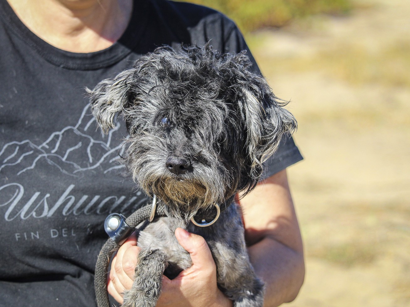 TRUFFLE