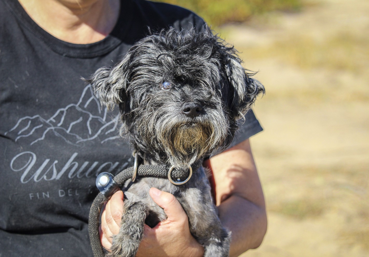 TRUFFLE