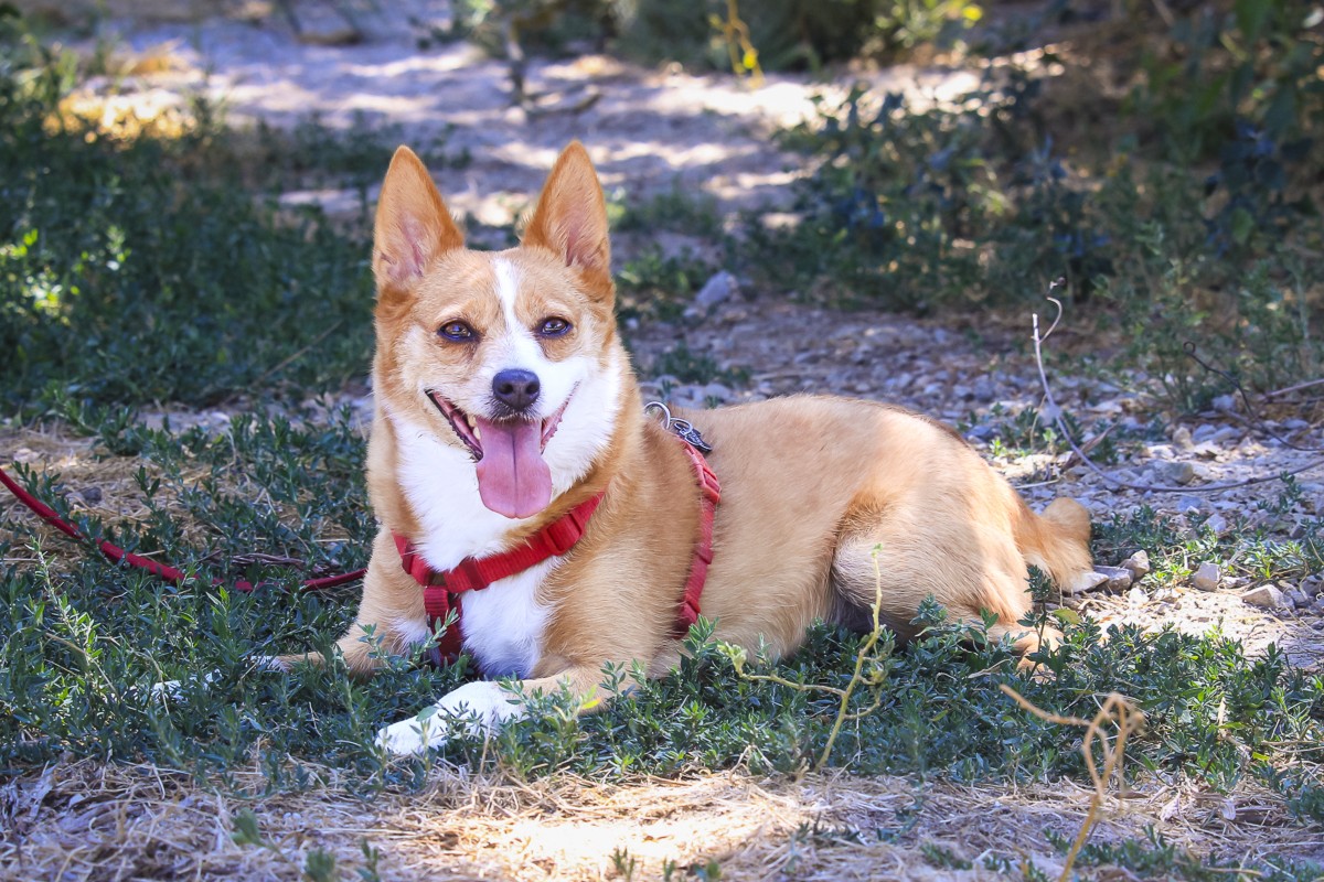 LUNA