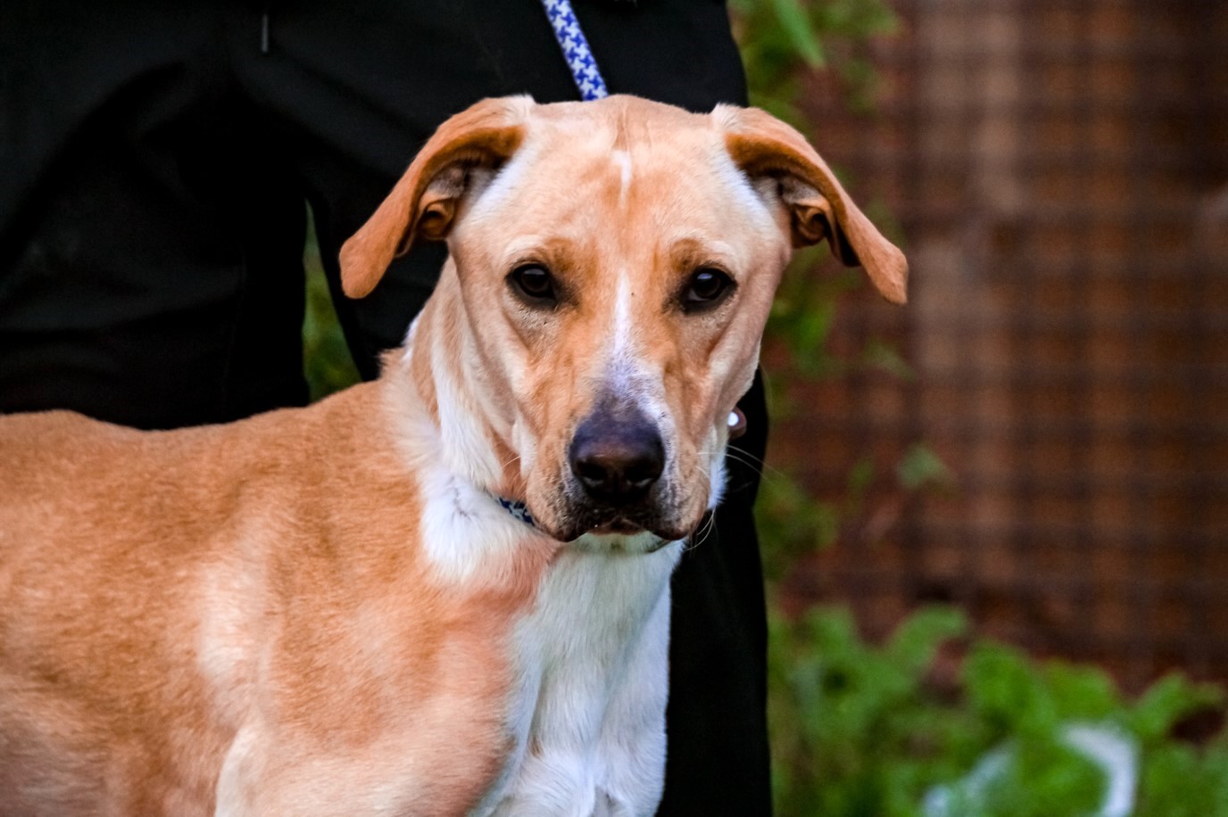 ERIK