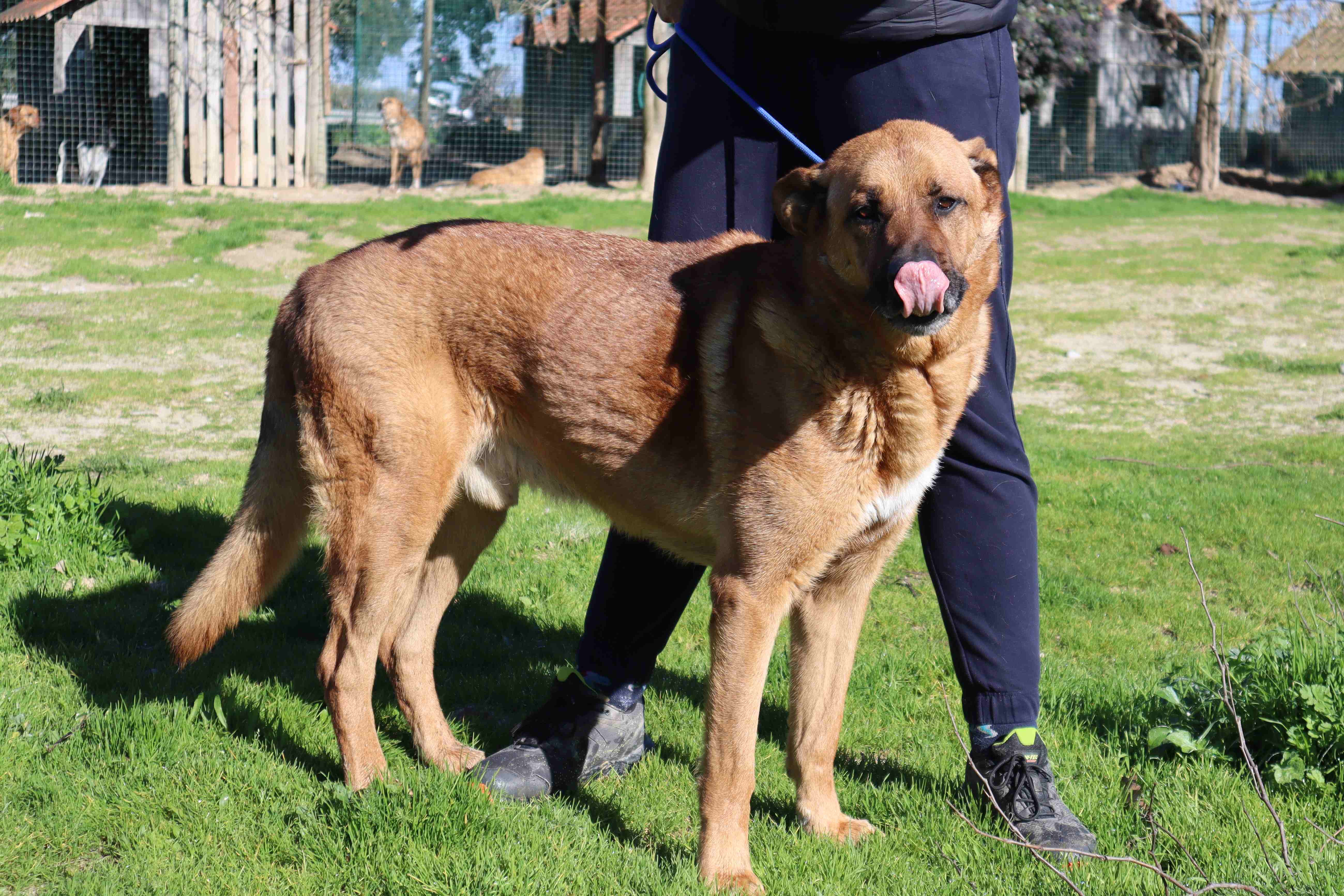 RUCA