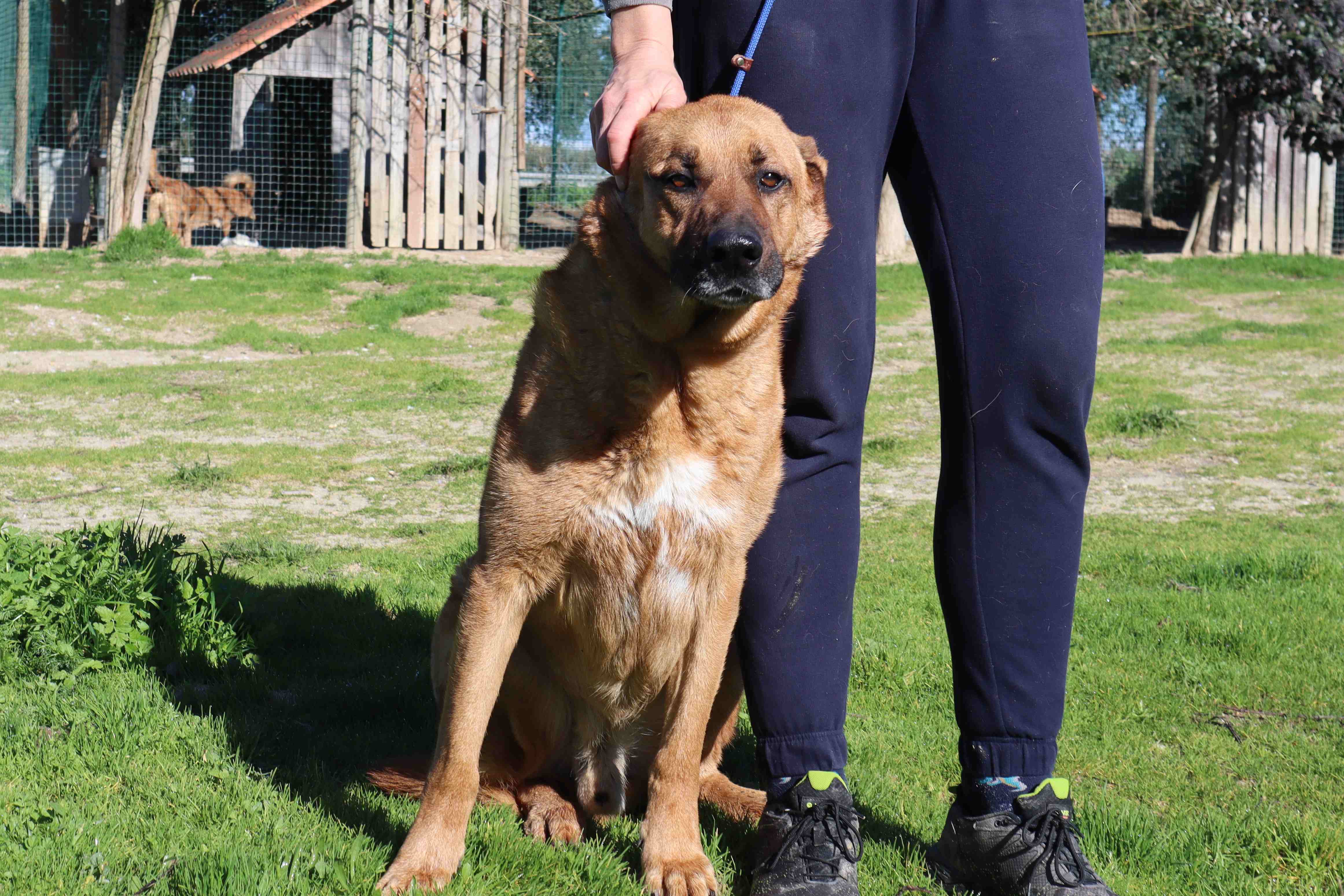RUCA