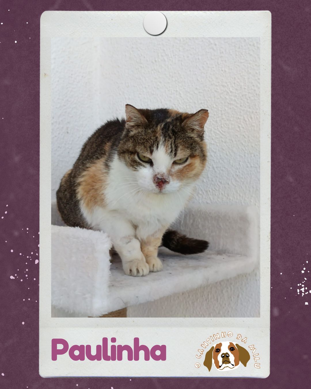 Paulinha