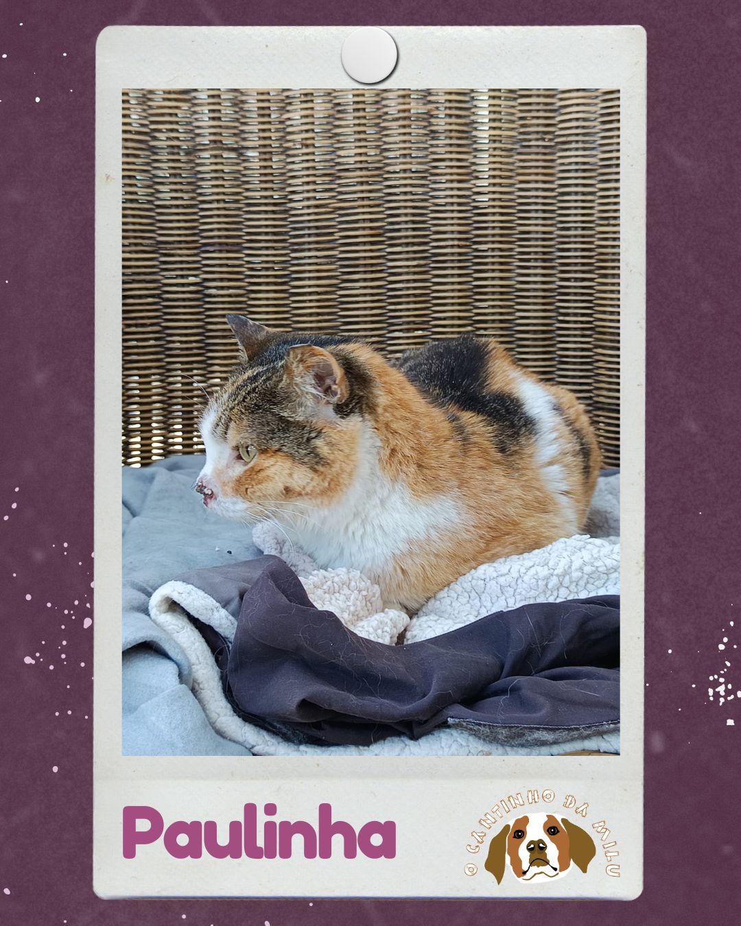 Paulinha