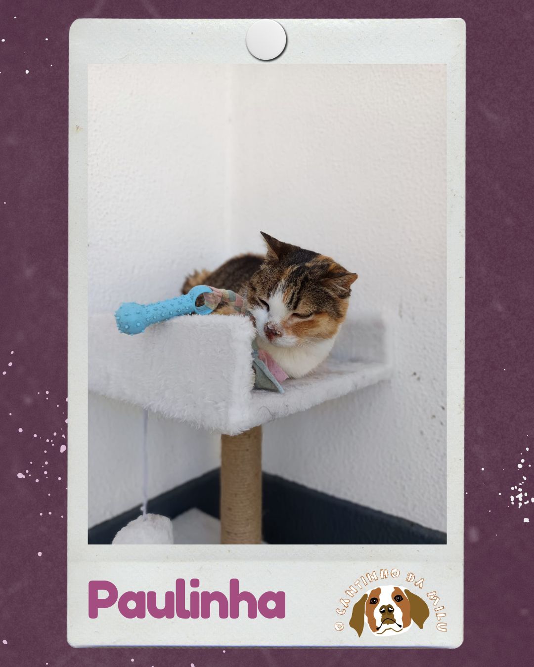 Paulinha