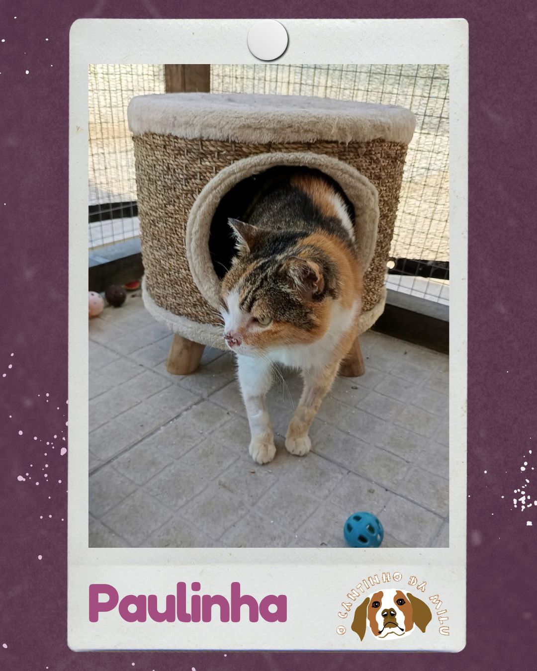 Paulinha