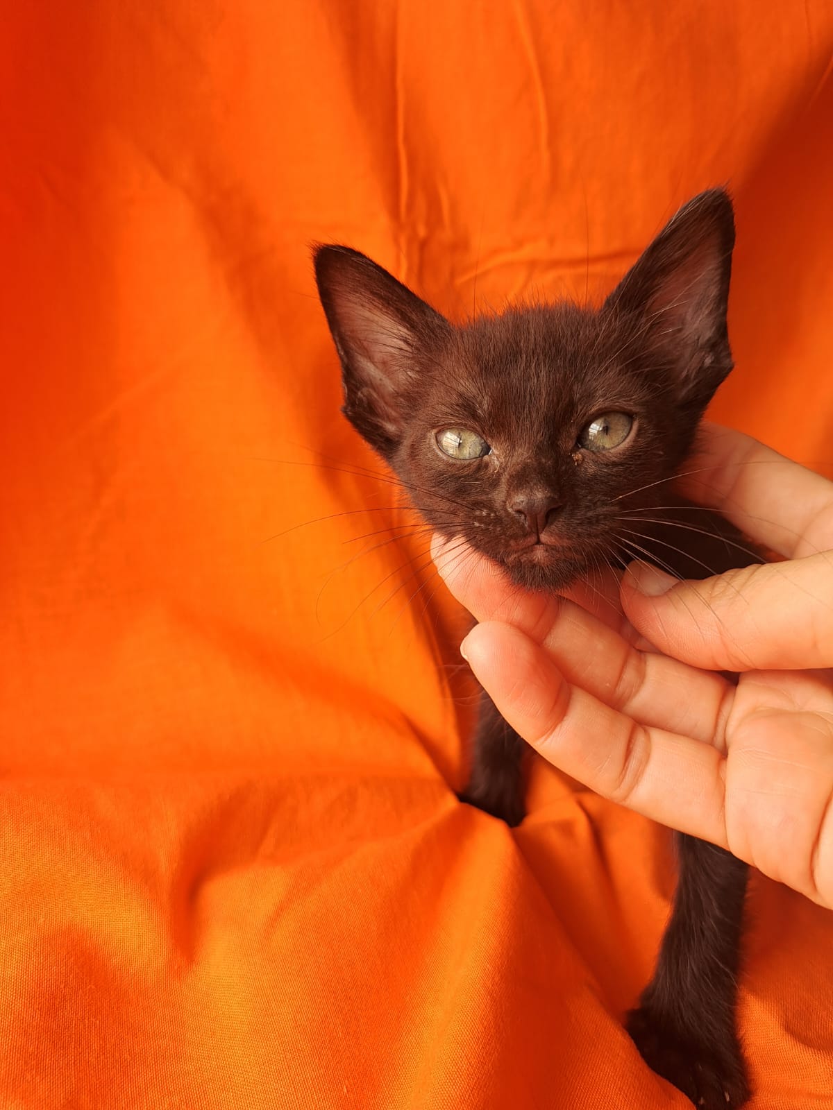 KIRO