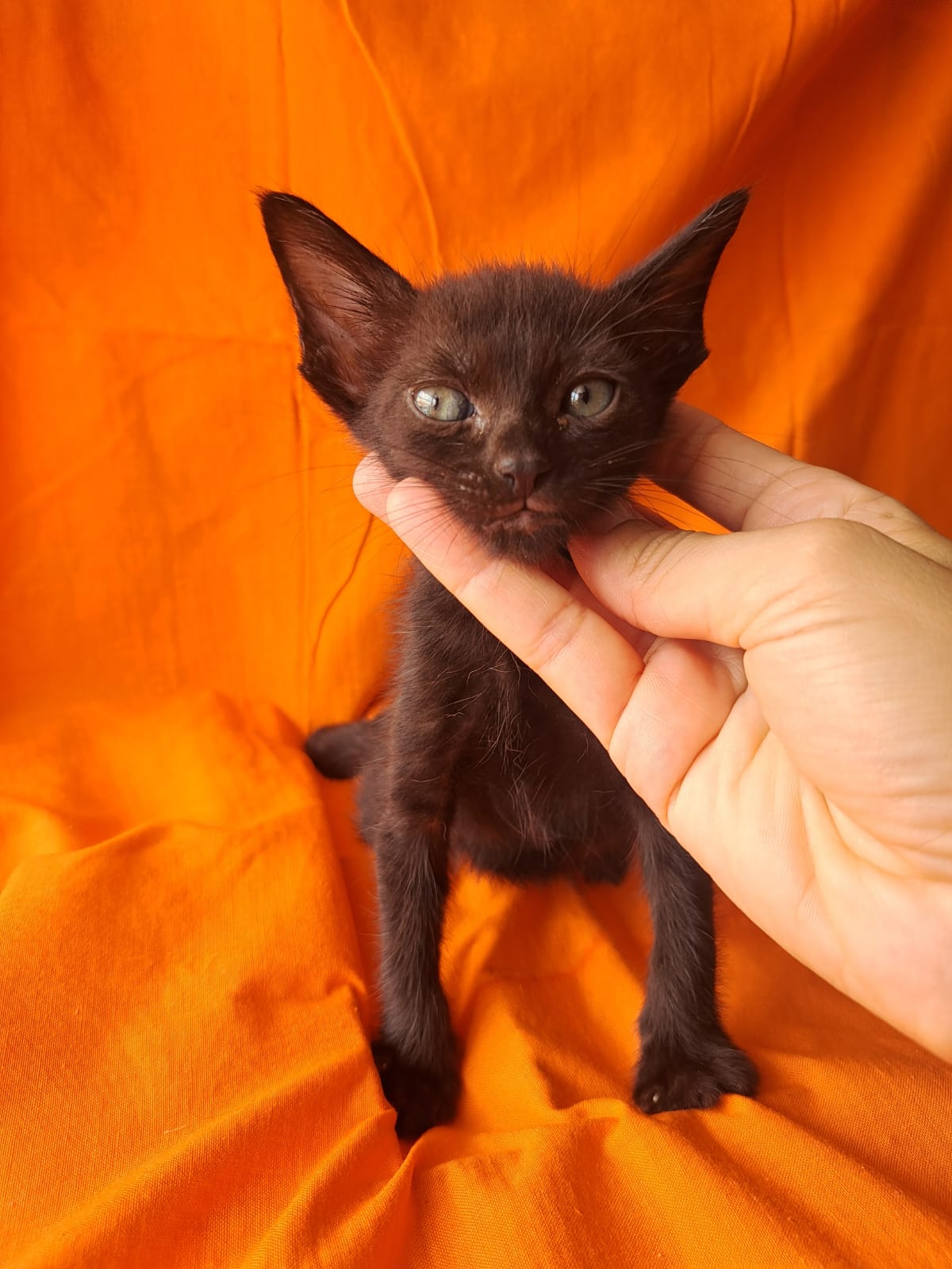 KIRO