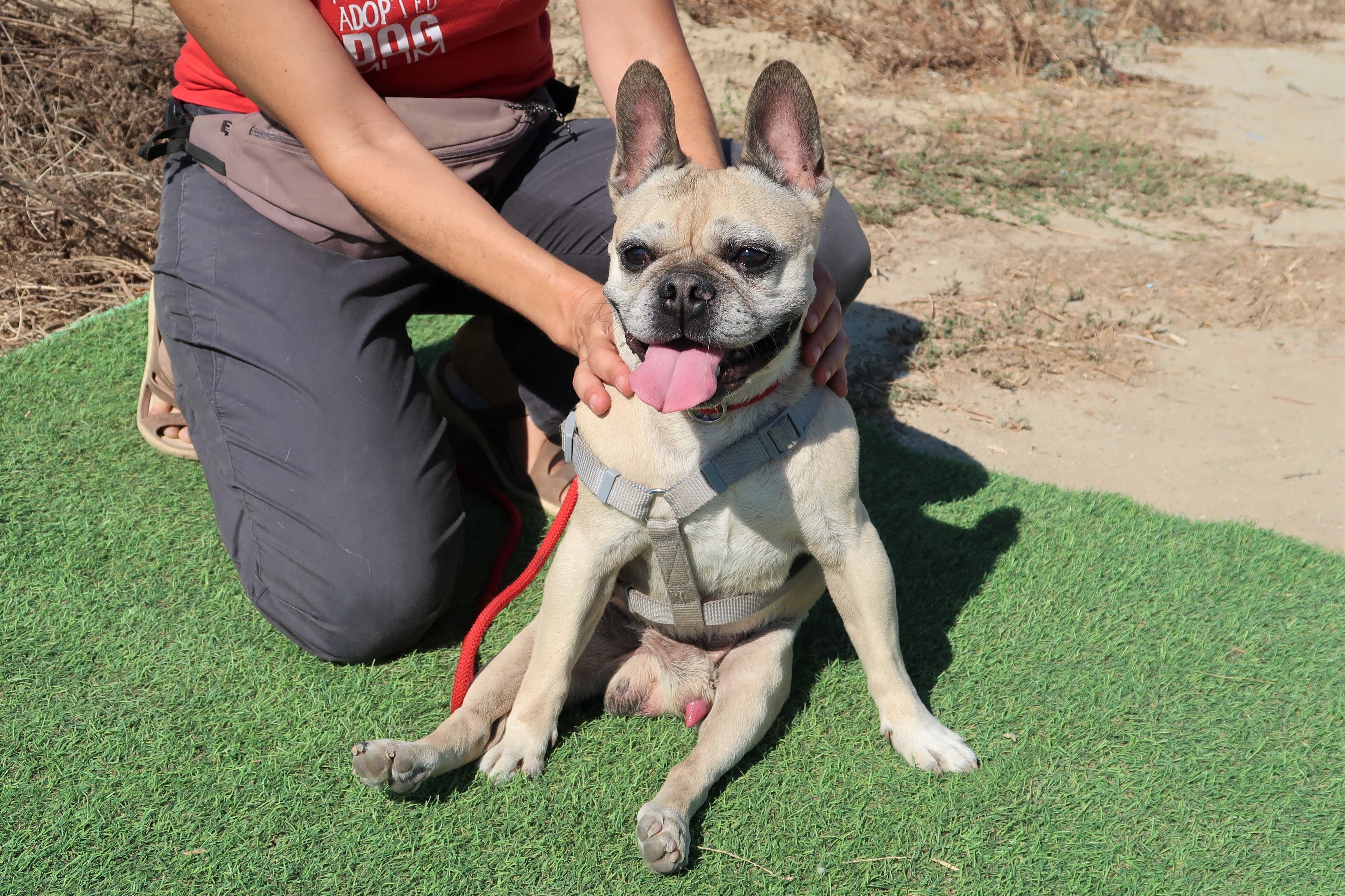 CHICO