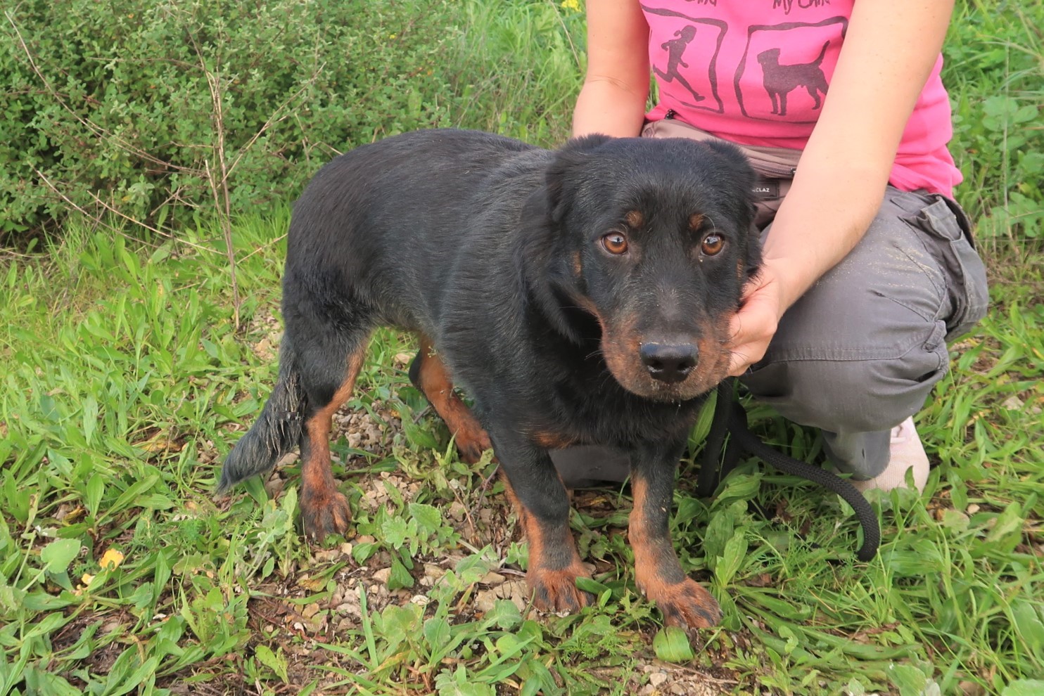 JOSEF