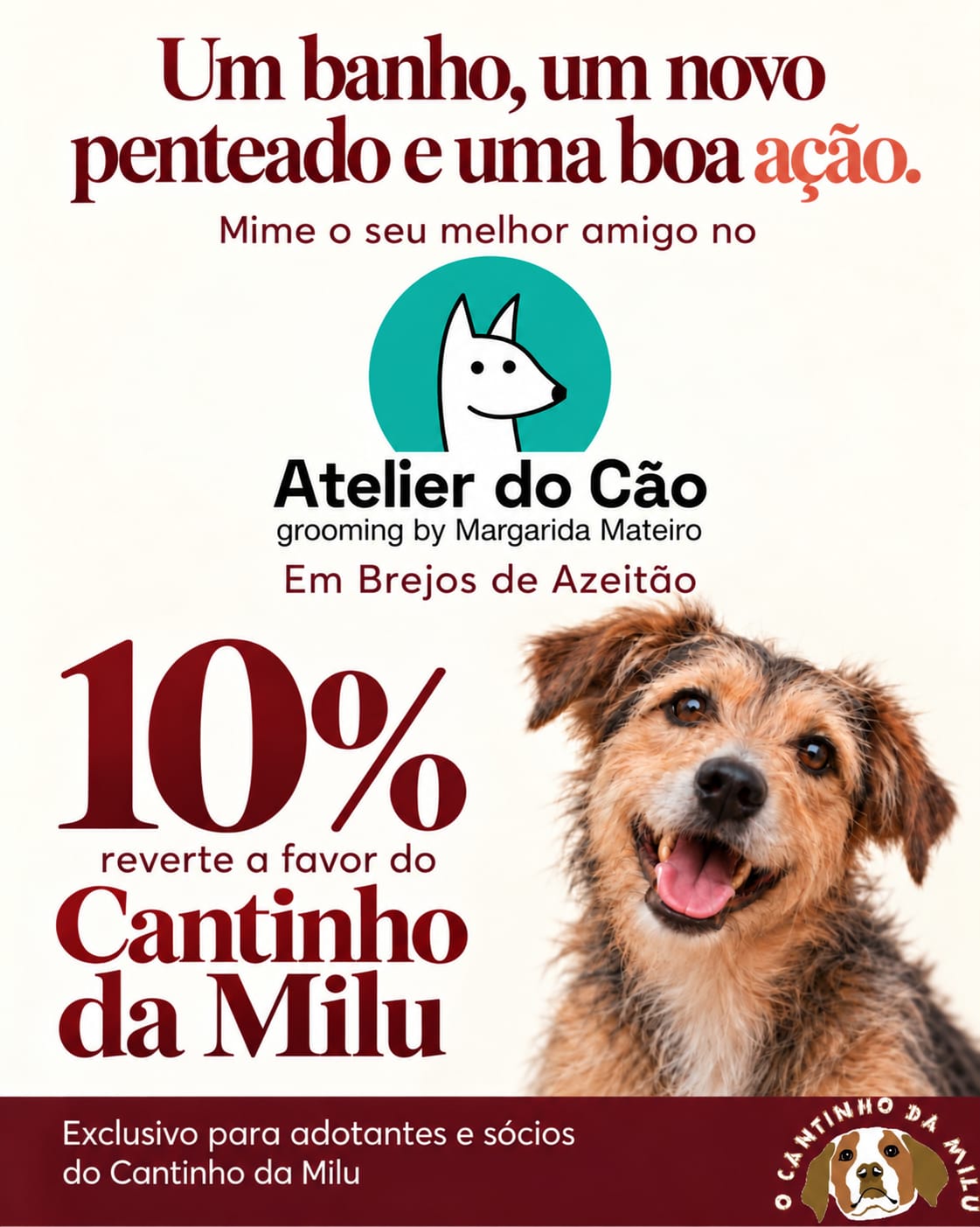 Atelier do cão