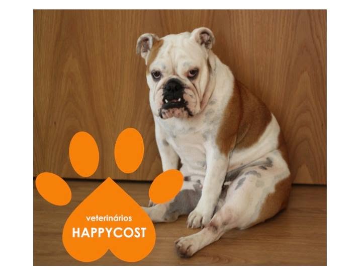 Veterinários HappyCost