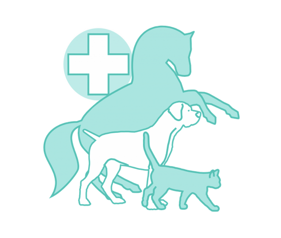 HOSPITAL VETERINÁRIO DE ALVALADE