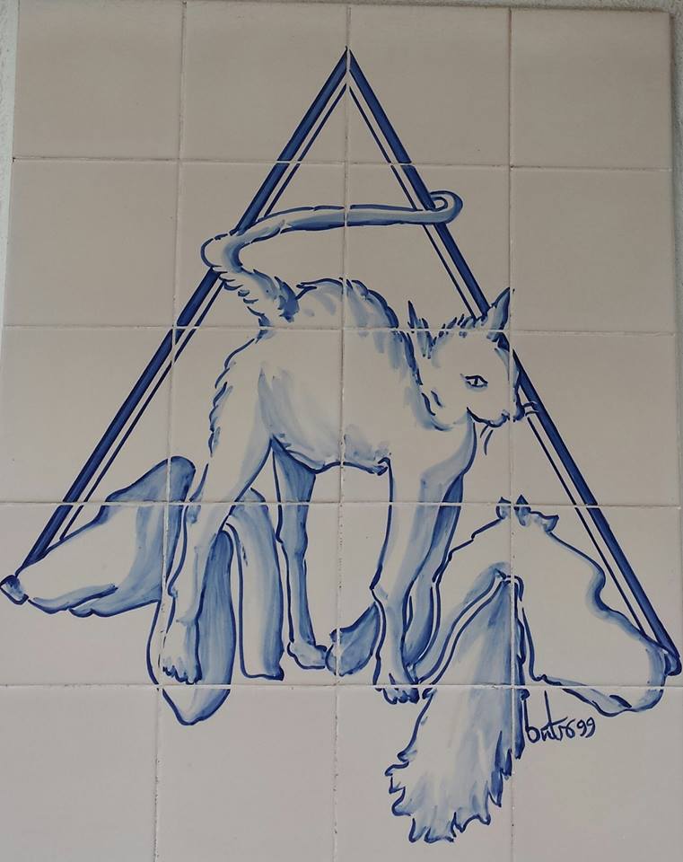 Consultório Veterinário Dra. Rute Matos