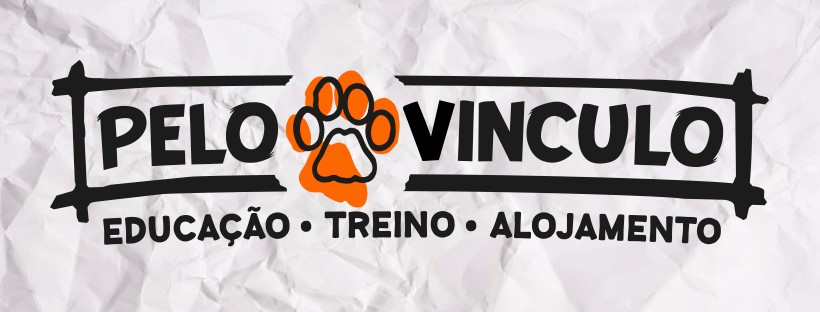 Pelo Vínculo