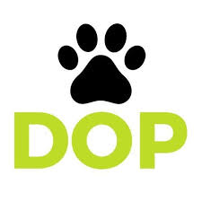 Dogs of Portugal