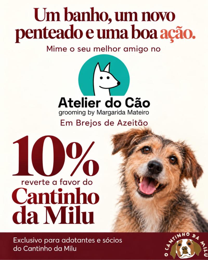 Atelier do cão